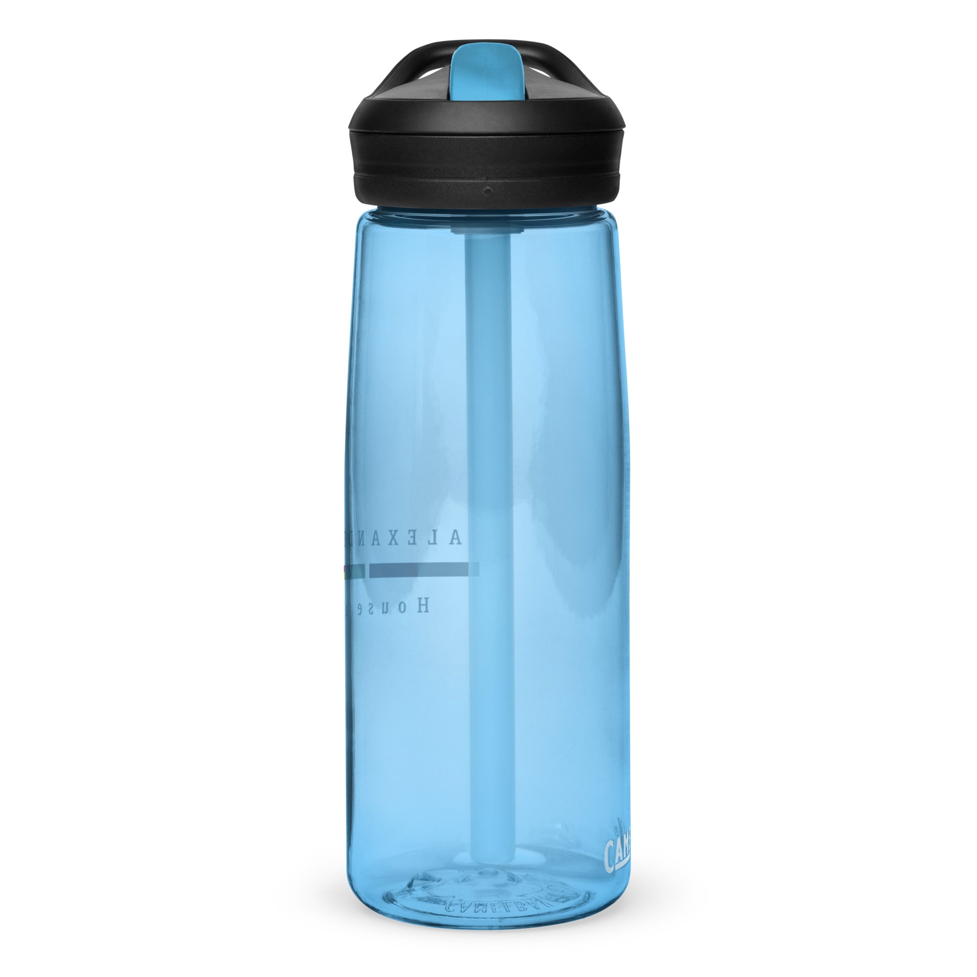 Sports water bottle