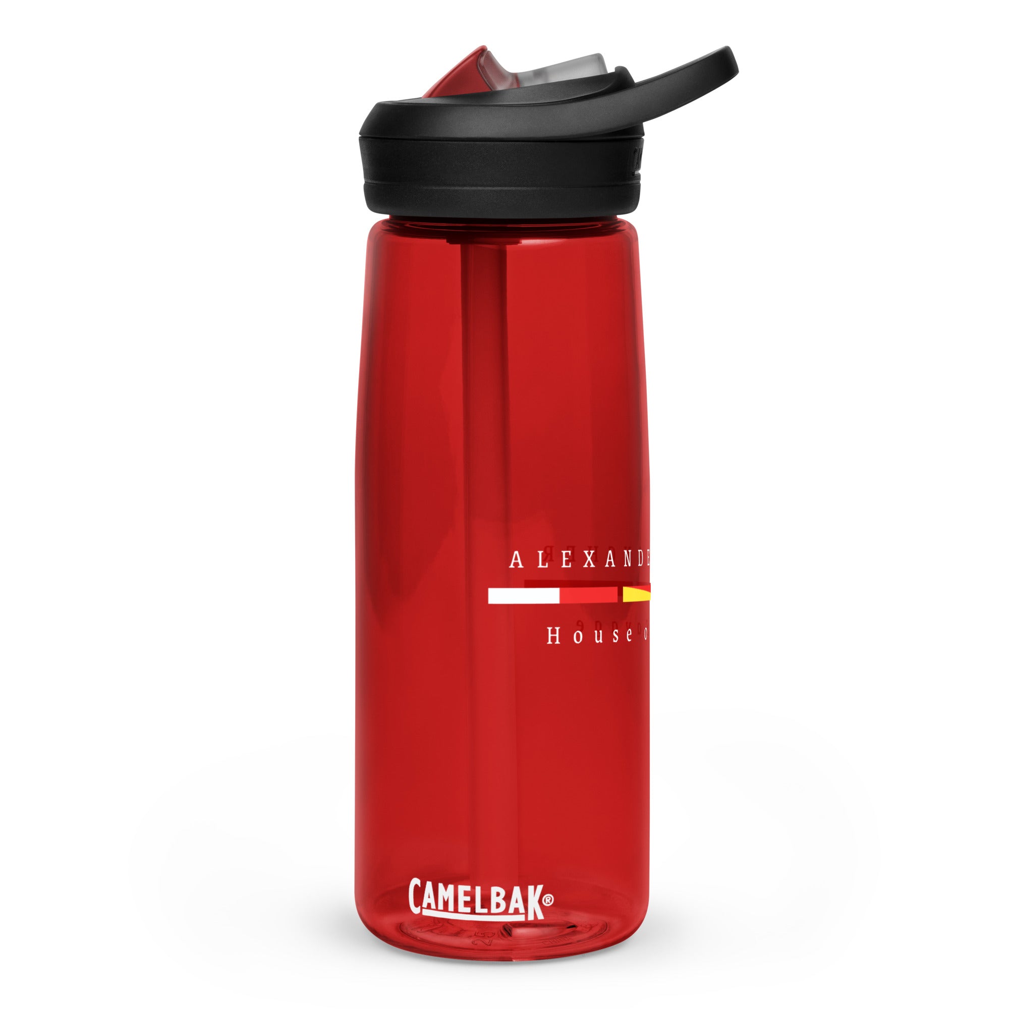 Sports water bottle