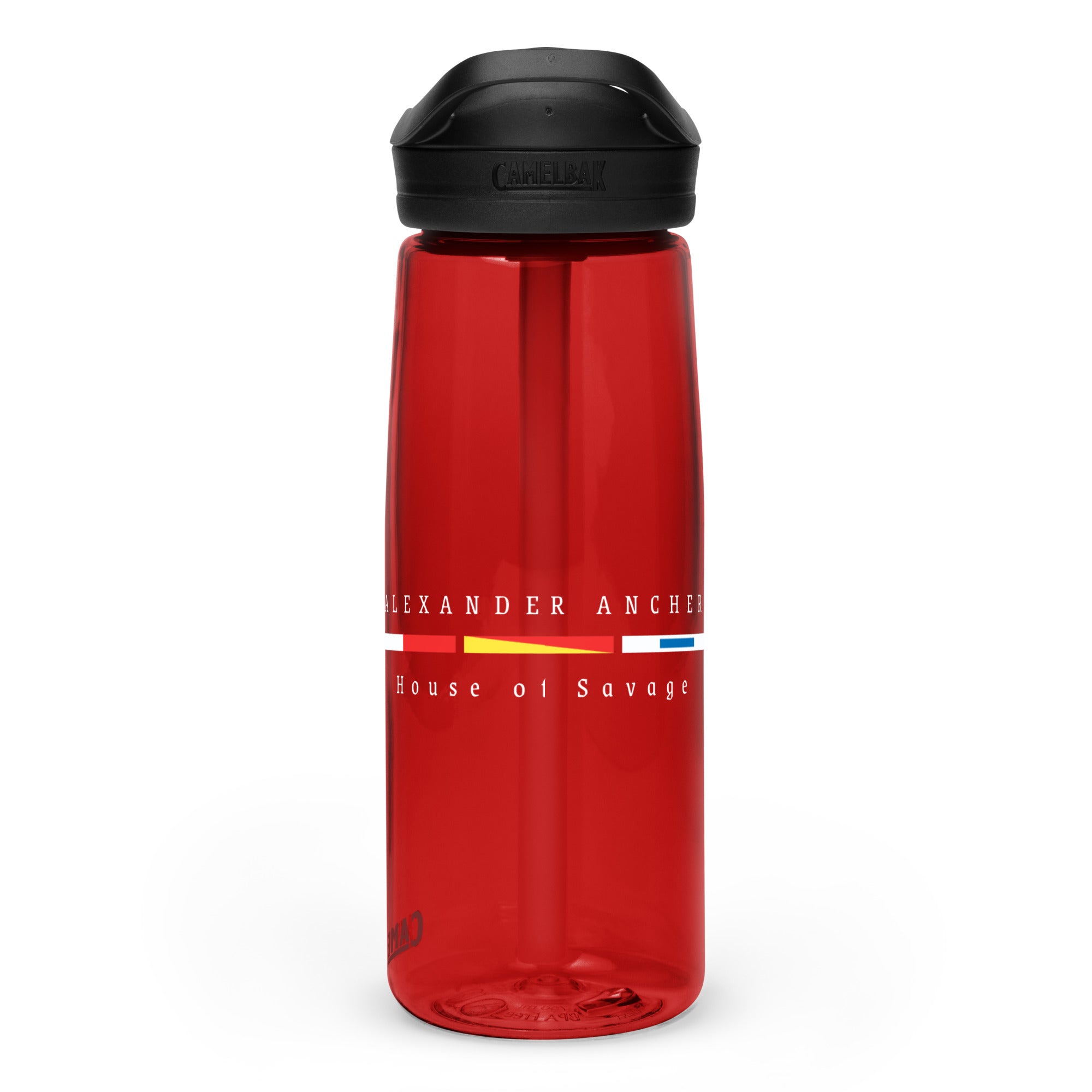 Sports water bottle