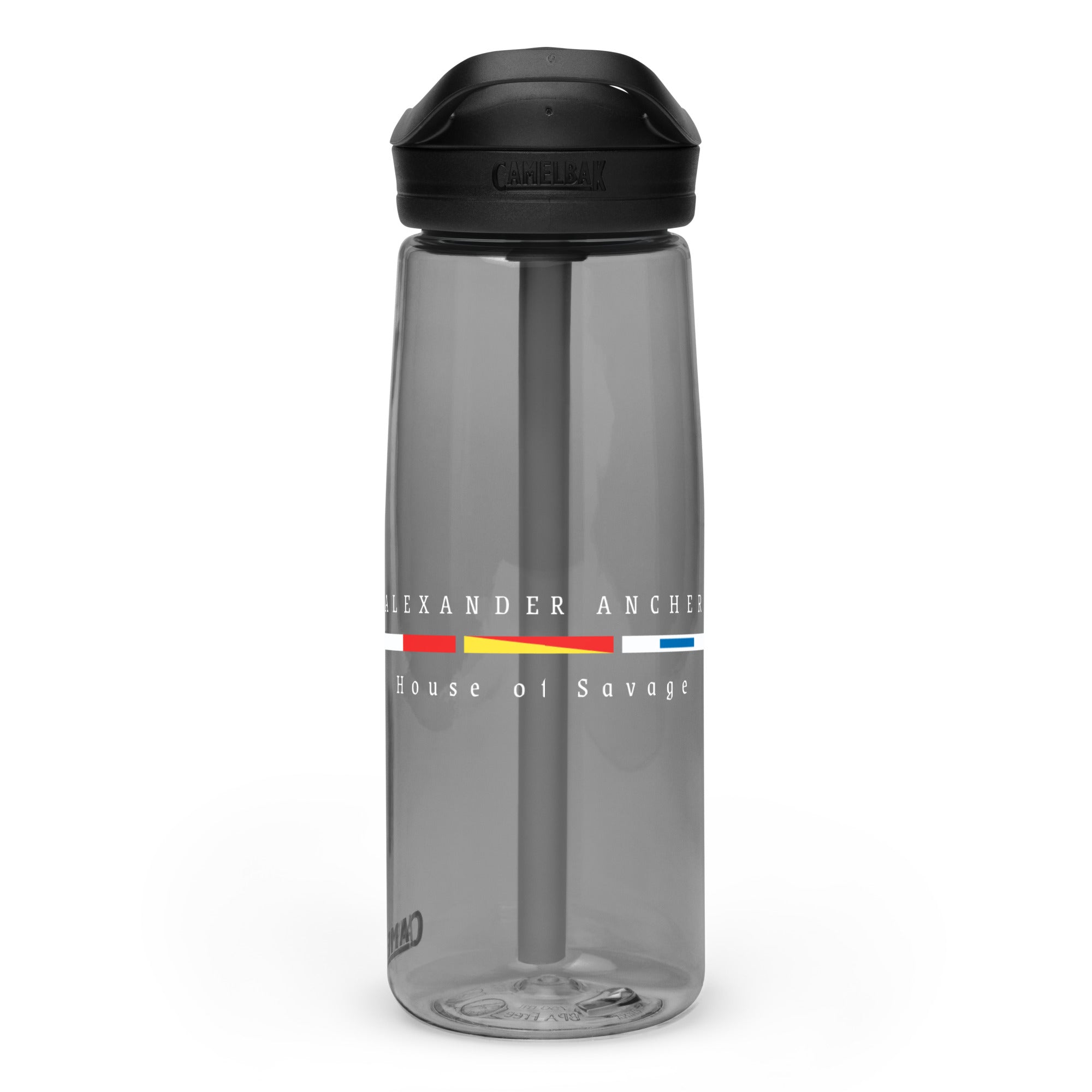 Sports water bottle