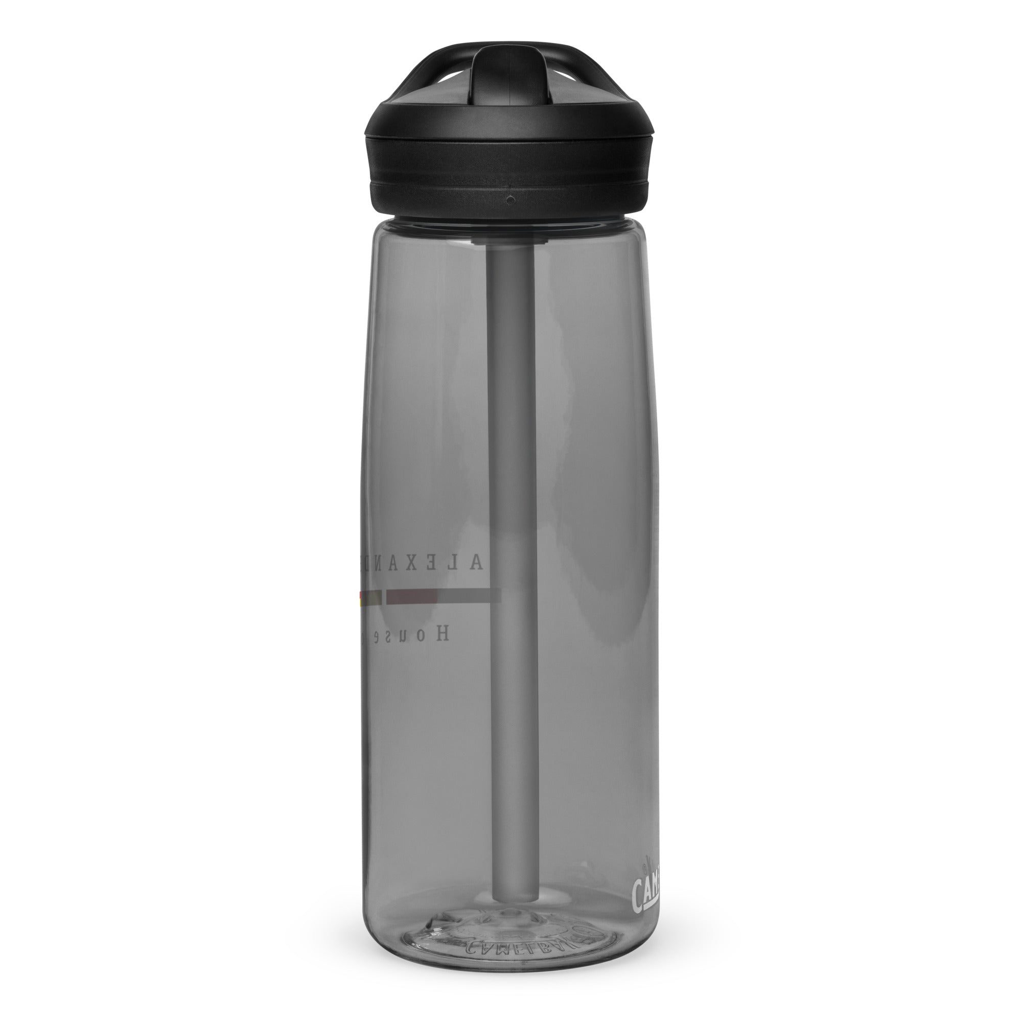 Sports water bottle