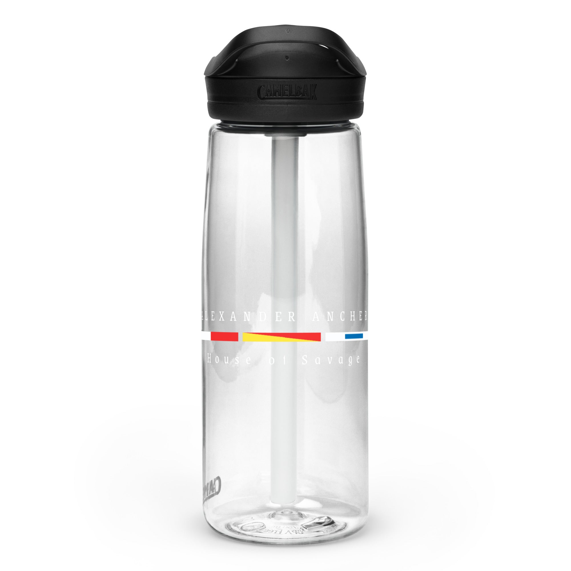 Sports water bottle