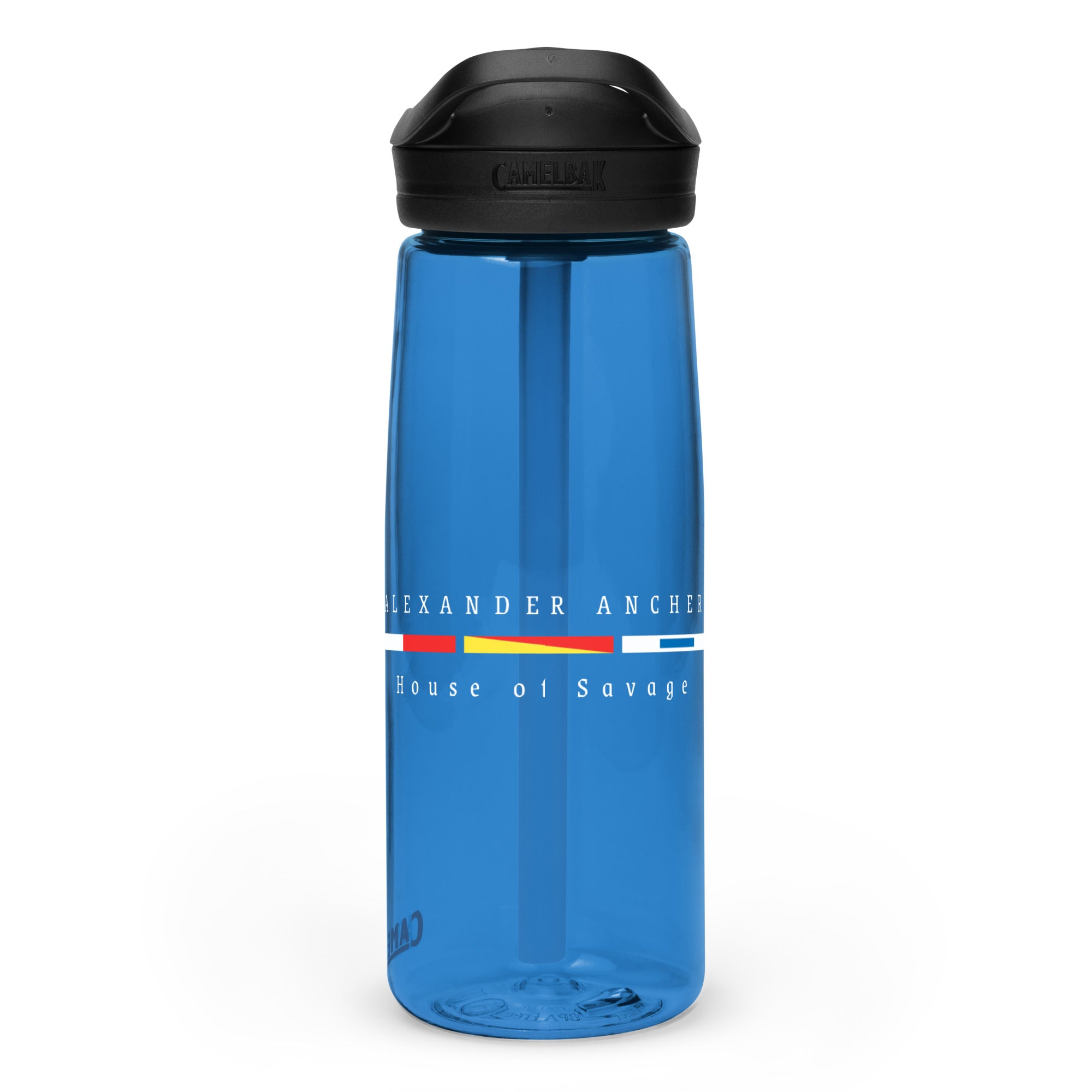 Sports water bottle